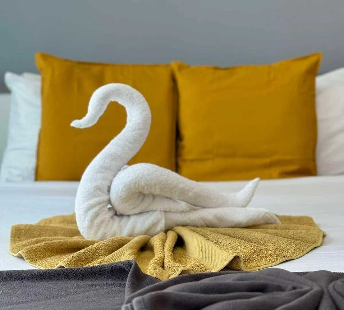 Spacious And Family Friendly L 3Bhk Full Apartment Access Dubai